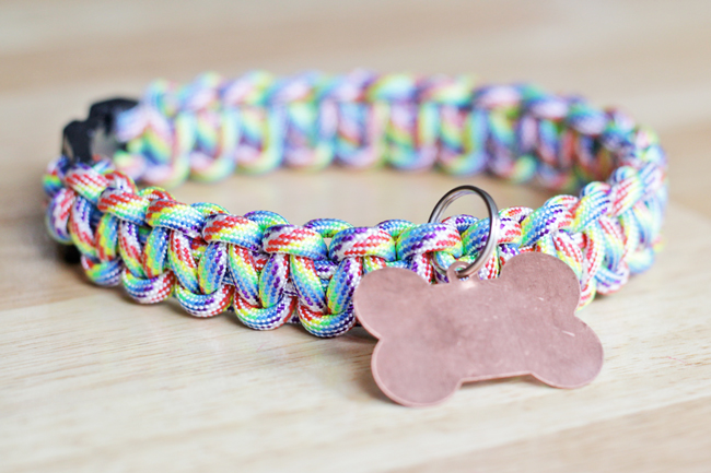 How-to: Rainbow Paracord Dog Collar