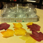 How-to: Simple Autumn Leaf Ornaments 